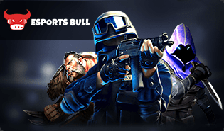 Esports Bull
